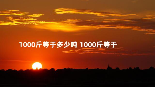 1000斤等于多少吨 1000斤等于多少毫升